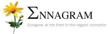 Ennagram - logo